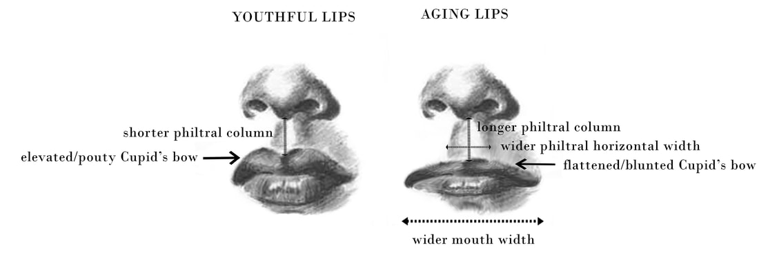 youthful lips vs aging lips
