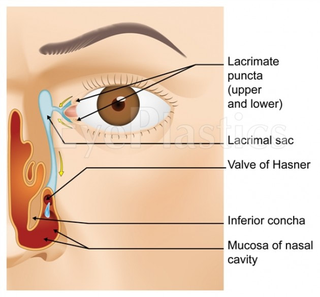 1343787448-1343787448-image-1_orig