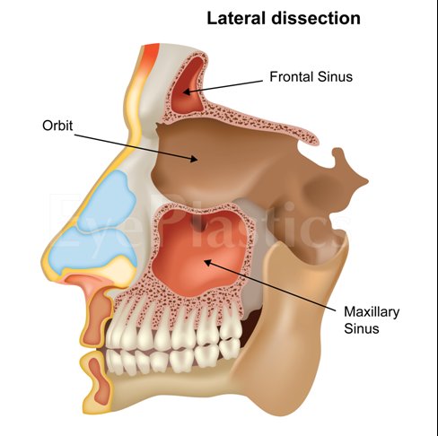 1343787450-image-4_orig