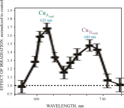 red-light-therapy-optimum-spectrum_orig