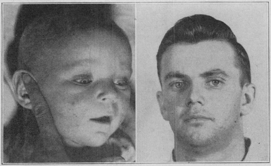 screen-shot-2022-08-28-at-1-42-13-pm_orig