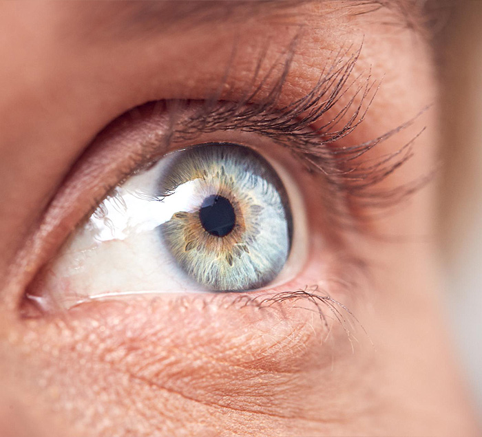 A close-up of a blue female human eye