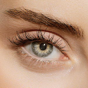 Female eye zone and brows with day nude makeup