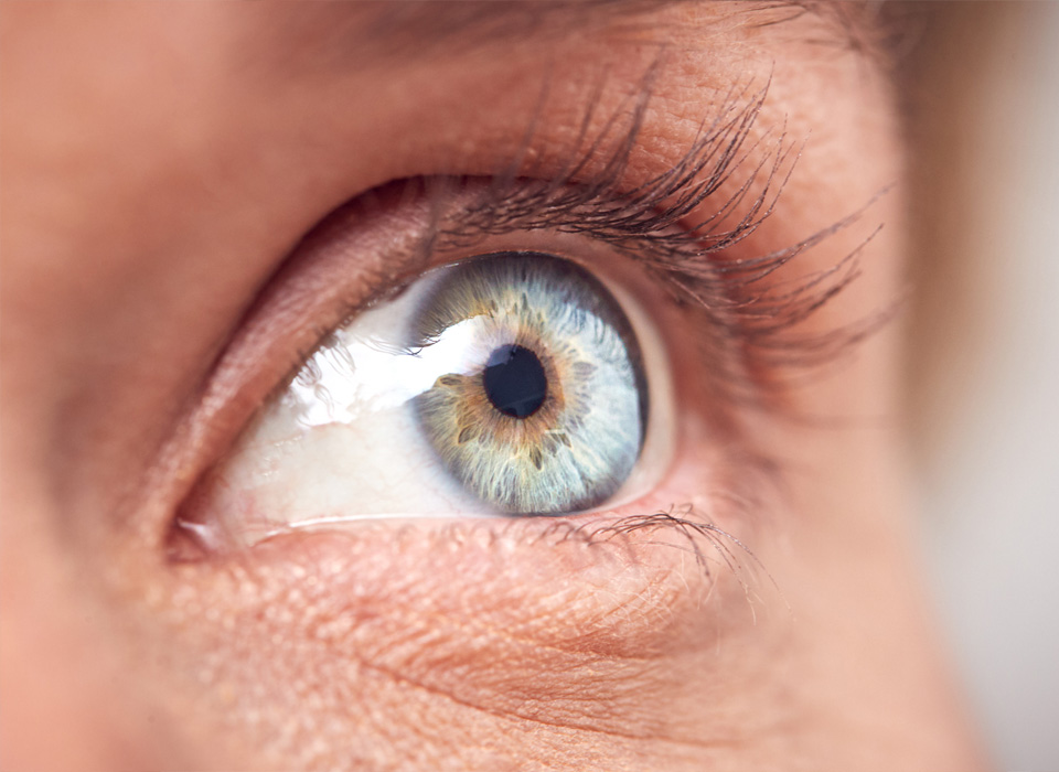 A close-up of a blue female human eye
